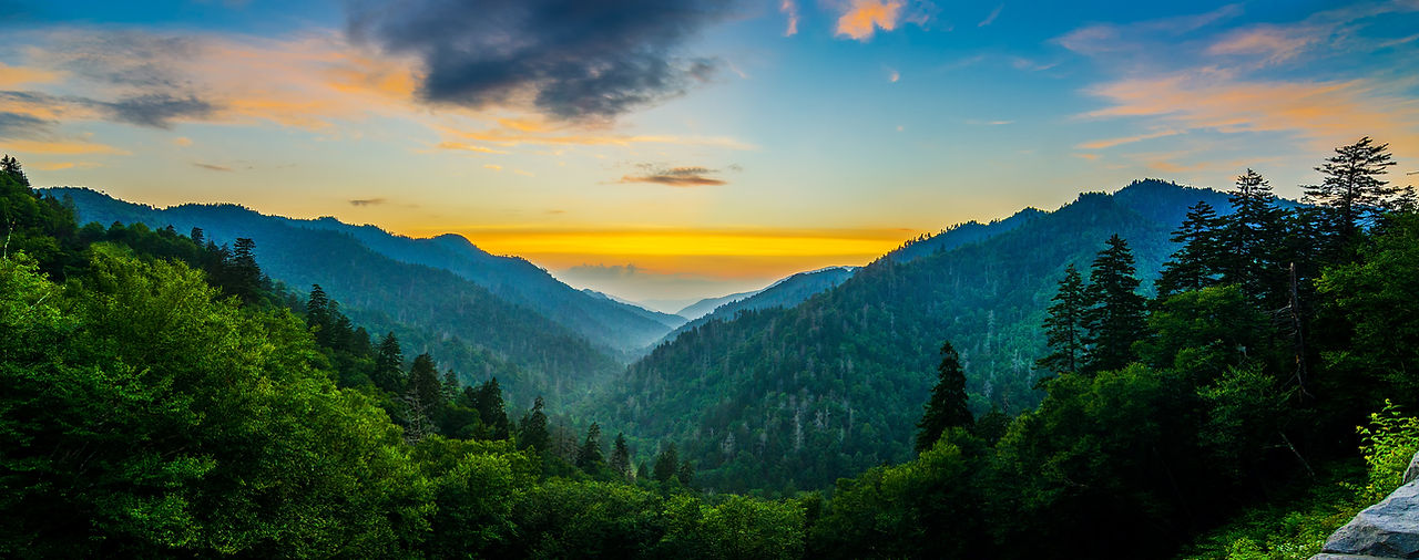 The Collie Law Firm, PLLC in Hendersonville, NC