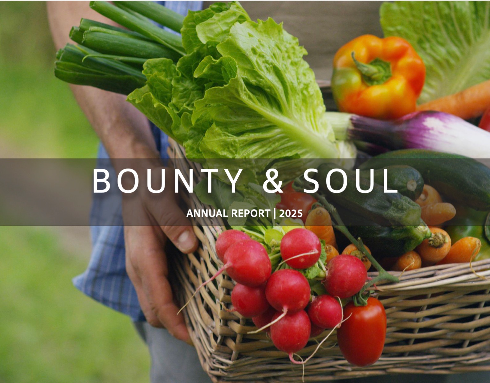 Bounty & Soul Business Offices in Black Mountain, NC (4)