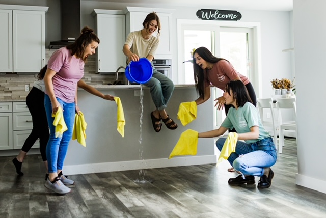 Happy House Cleaning in Middleton, WI (6)