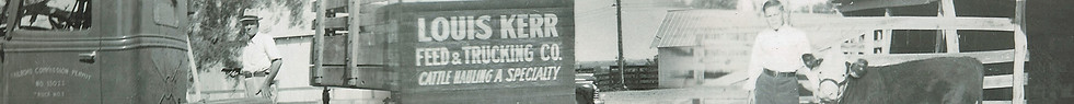 Kerr Feed & Grain in Henrietta, TX (3)