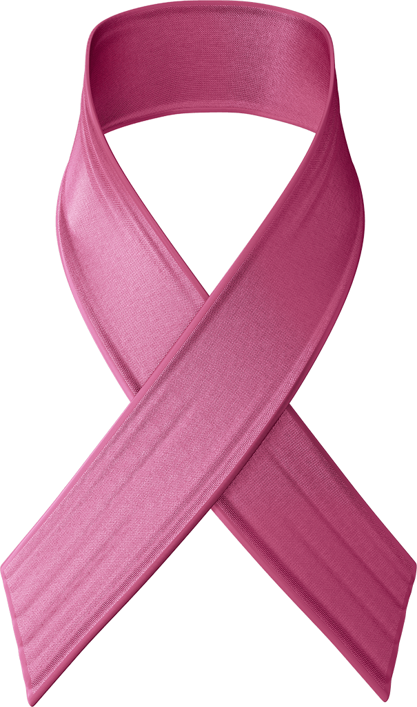 Cleanzilla Cleaning Nyc in Long Island City, NY
