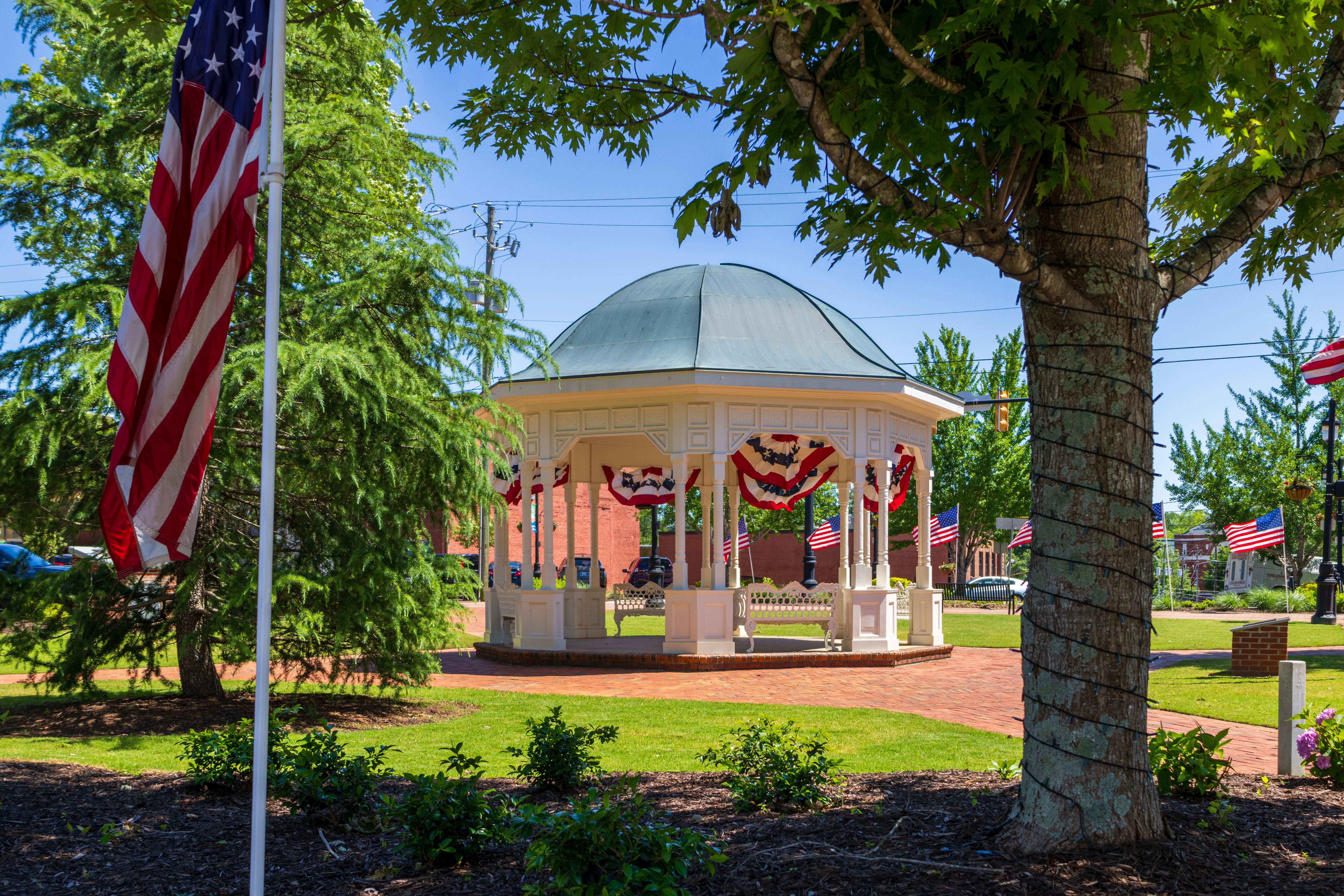 Stephanie McCarty, Canton Realtor® in Canton, GA (2)
