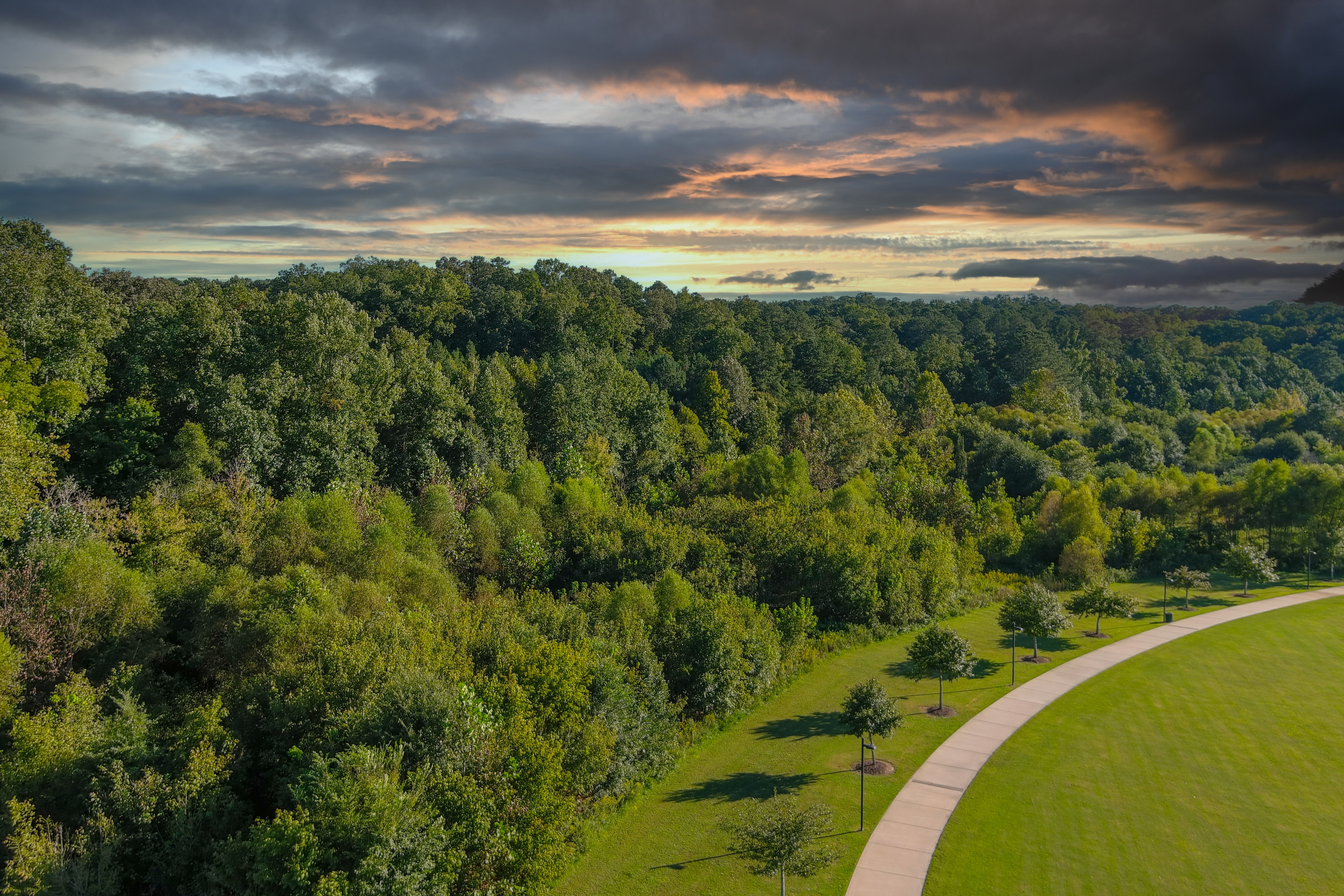 Stephanie McCarty, Canton Realtor® in Canton, GA (3)
