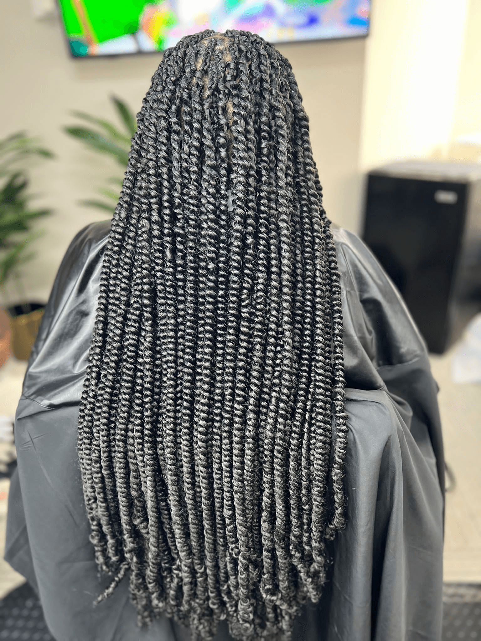 Nexthouston braids in Richmond, TX