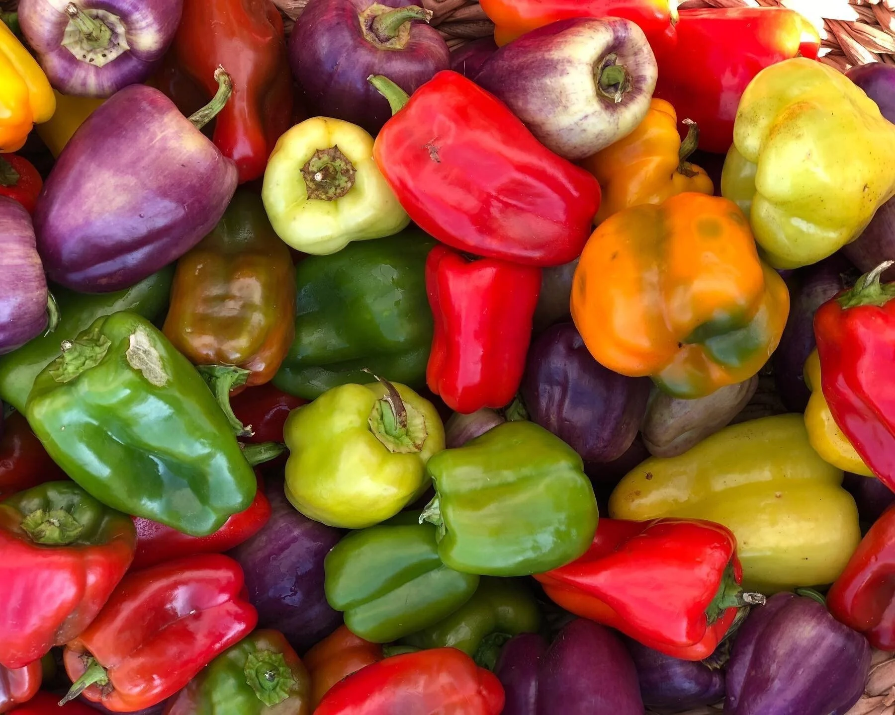Travelers Rest Farmers Market in Travelers Rest, SC (3)
