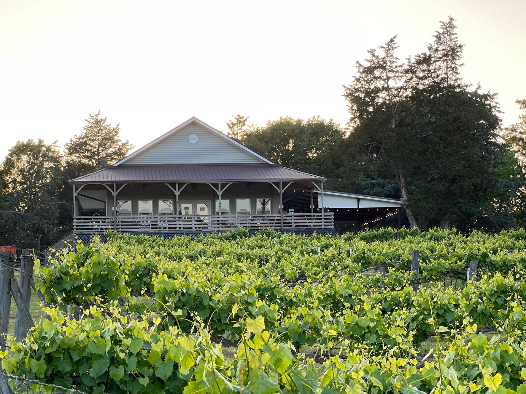 Enoree River Vineyards and Winery in Newberry, SC