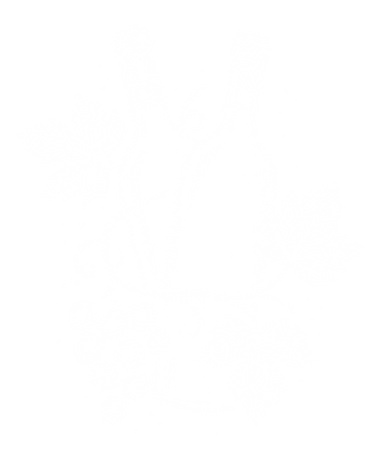 Enoree River Vineyards and Winery in Newberry, SC (4)