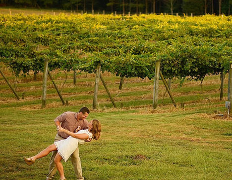 Enoree River Vineyards and Winery in Newberry, SC (5)