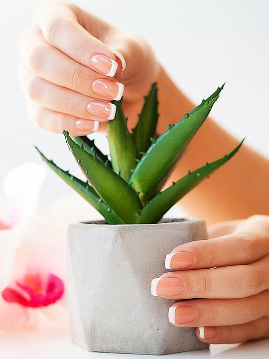 Ux Nails - Best Gelx & Builder Gel Near TCU in Fort Worth, TX (4)