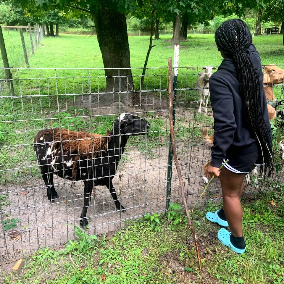 The Garden Doctor Teaching Farm in Dunnellon, FL (4)