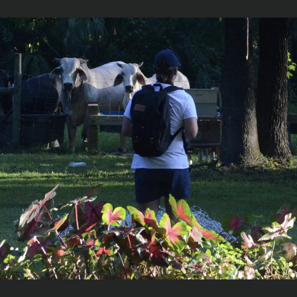 The Garden Doctor Teaching Farm in Dunnellon, FL (5)