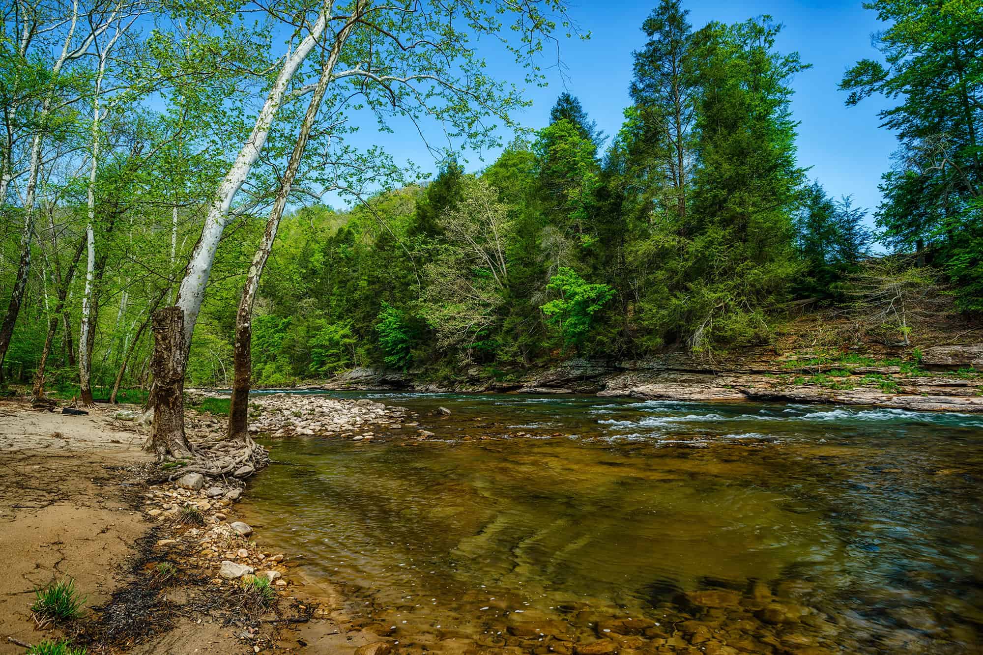 Garton Real Estate Group in Horner, WV