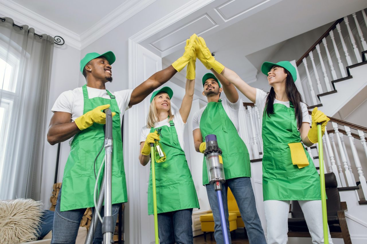 Duster&Daisy Green Clean Service in Crp Christi, TX (3)