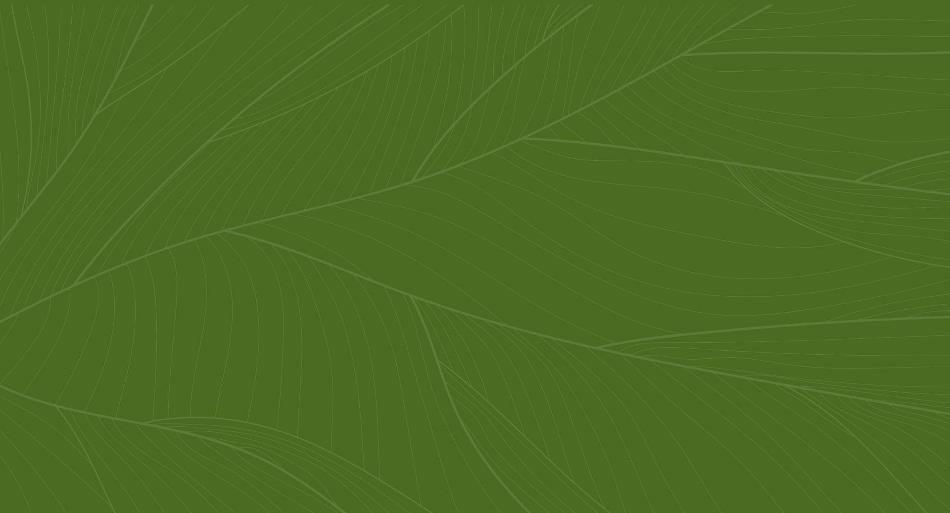 E.N. Banks-Ware Law Firm, LLC in Stonecrest, GA (5)