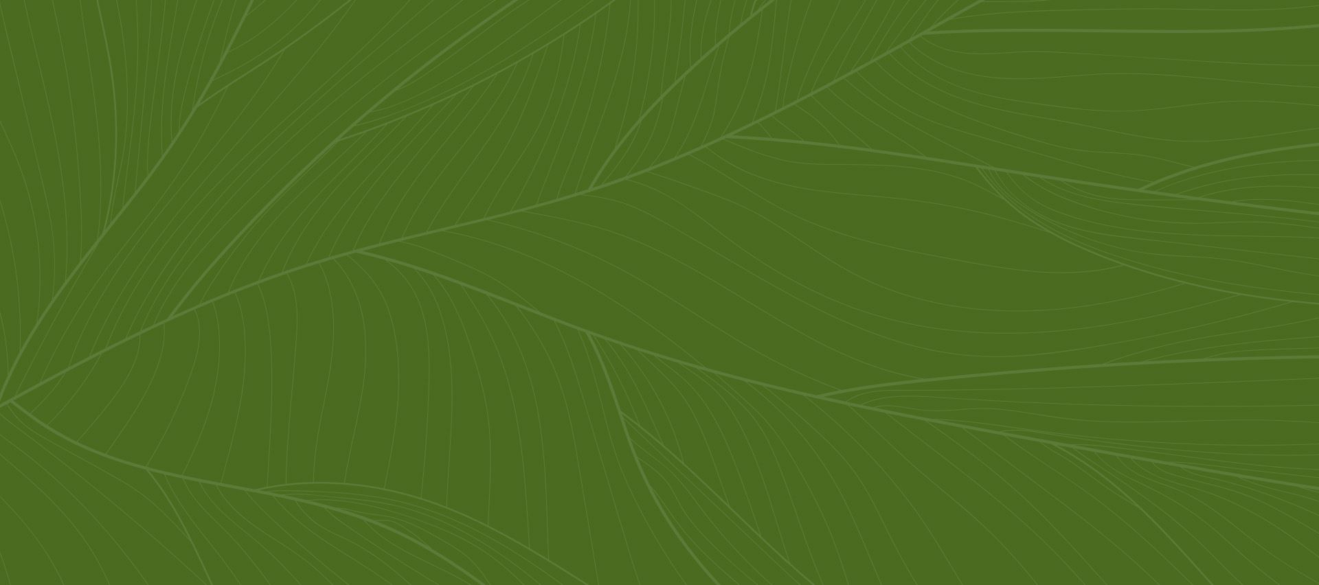 E.N. Banks-Ware Law Firm, LLC in Stonecrest, GA (6)