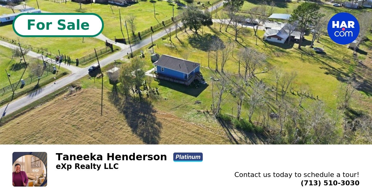 Taneeka Henderson - Real Estate Agent in Houston, TX (6)
