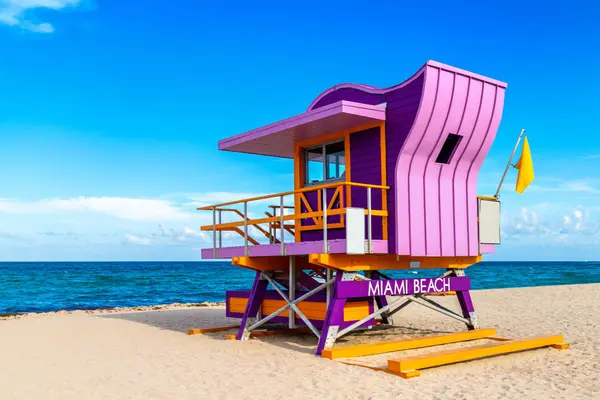 Biscayne Real Estate Group in Miami, FL (5)
