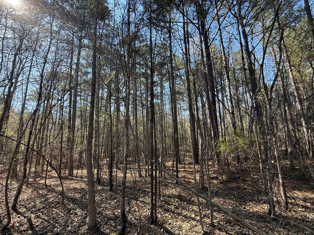 McClendon Realty in Greenwood, SC
