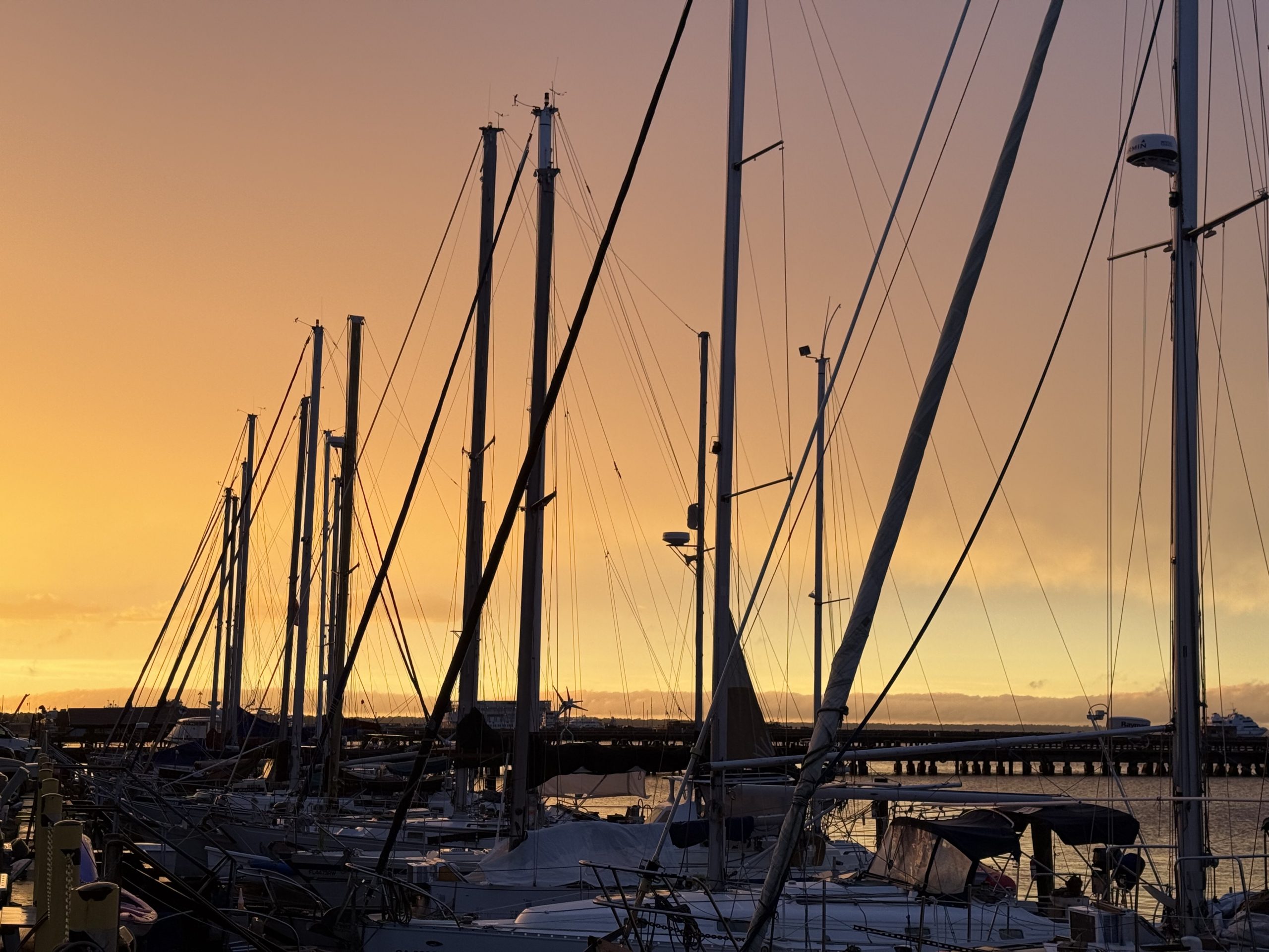 Green Cove Springs Marina in Green Cove Springs, FL