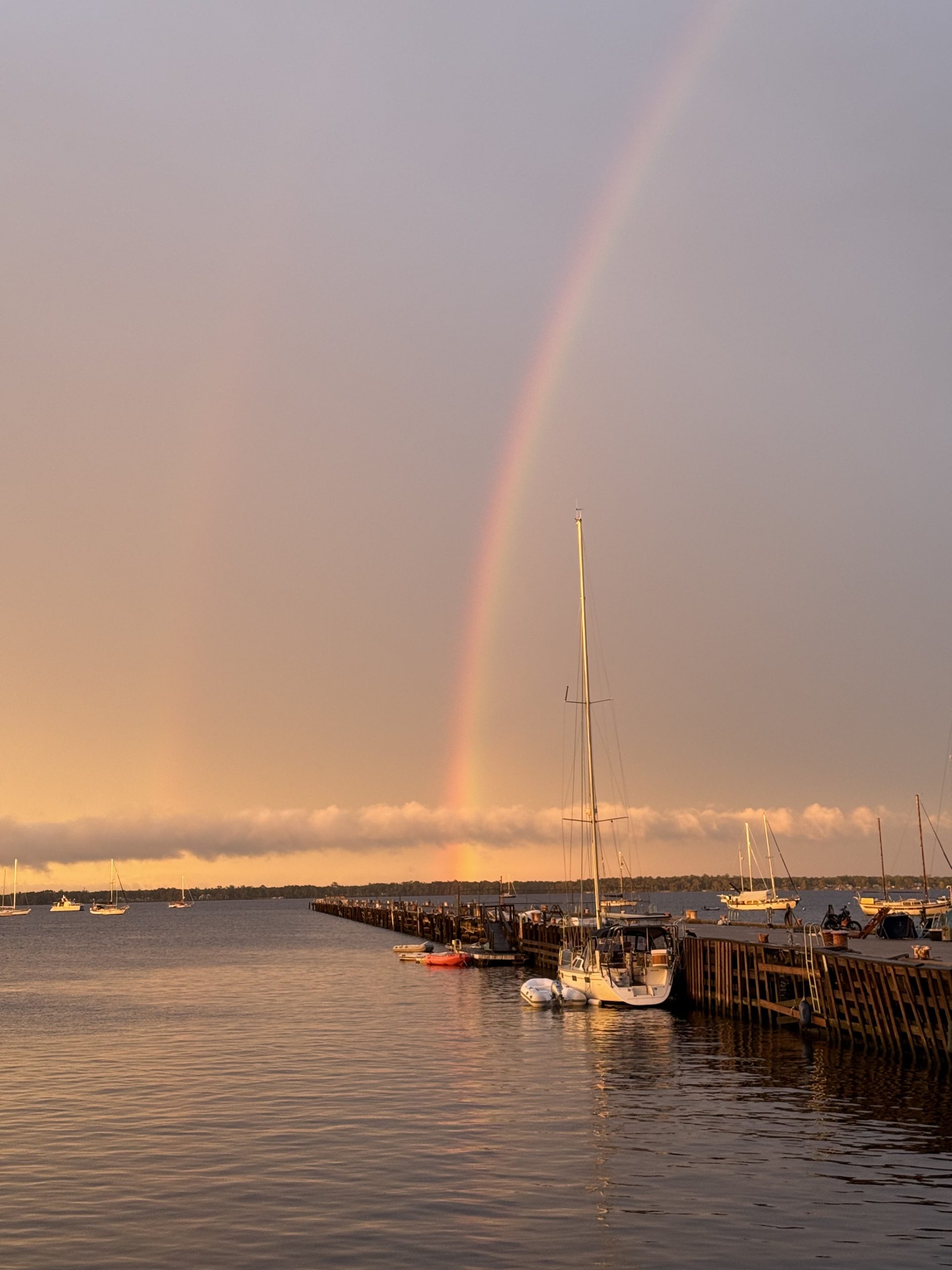 Green Cove Springs Marina in Green Cove Springs, FL (5)