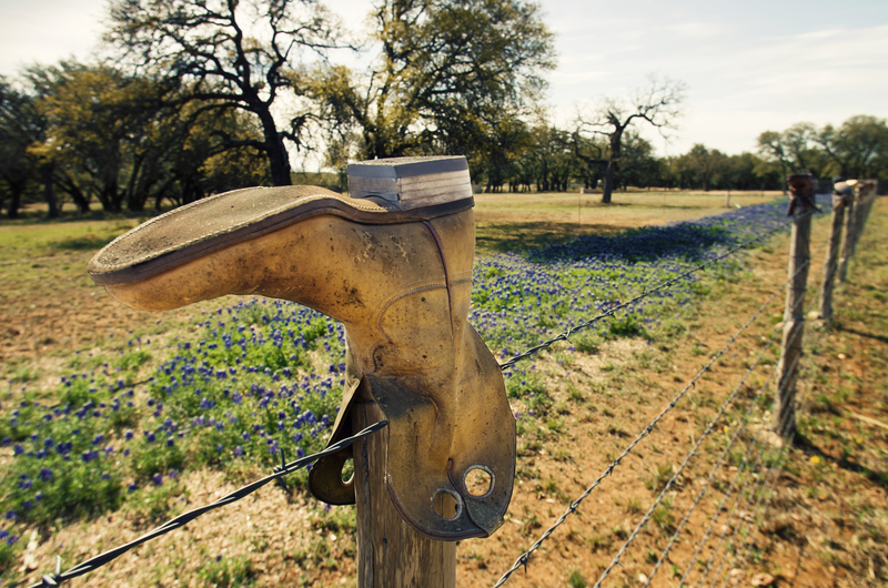 Coffman Real Estate in Dripping Springs, TX (3)