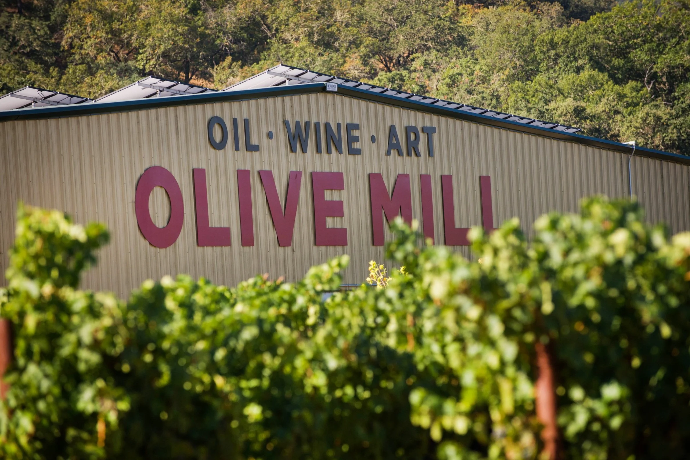 Terra Sávia Organic Winery & Olive Mill in Hopland, CA