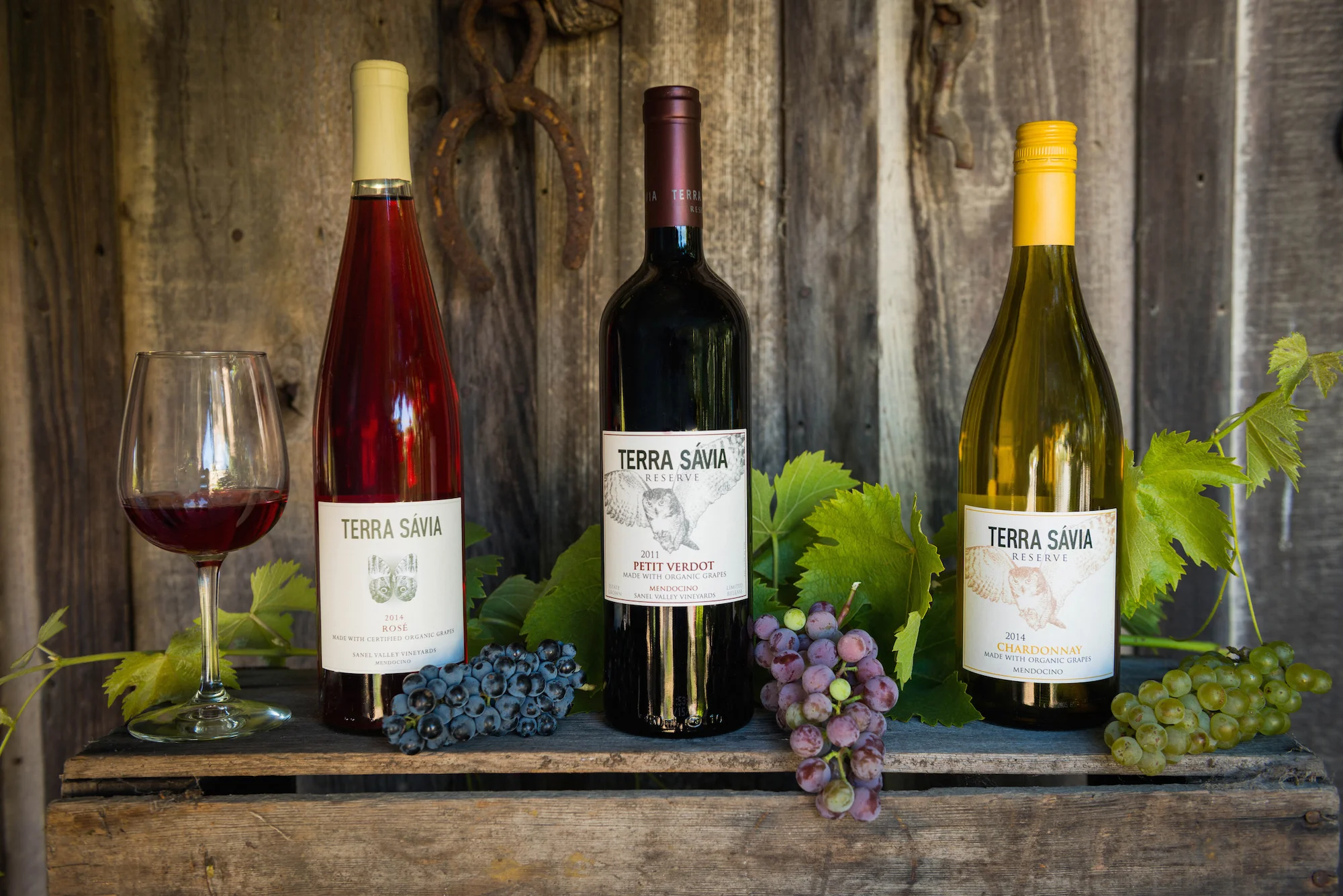Terra Sávia Organic Winery & Olive Mill in Hopland, CA (2)