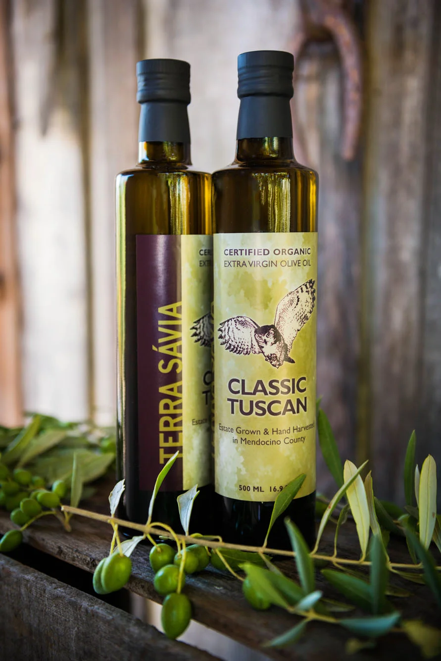 Terra Sávia Organic Winery & Olive Mill in Hopland, CA (4)