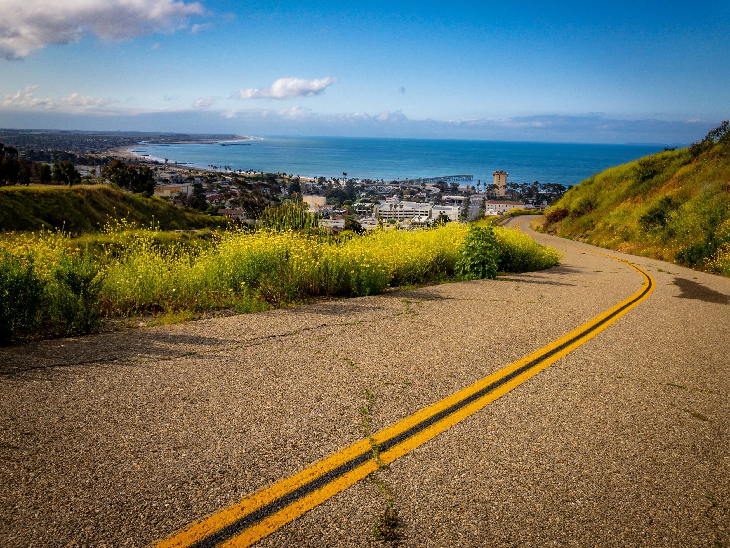 Megan Black, Real Estate in Ventura, CA (4)