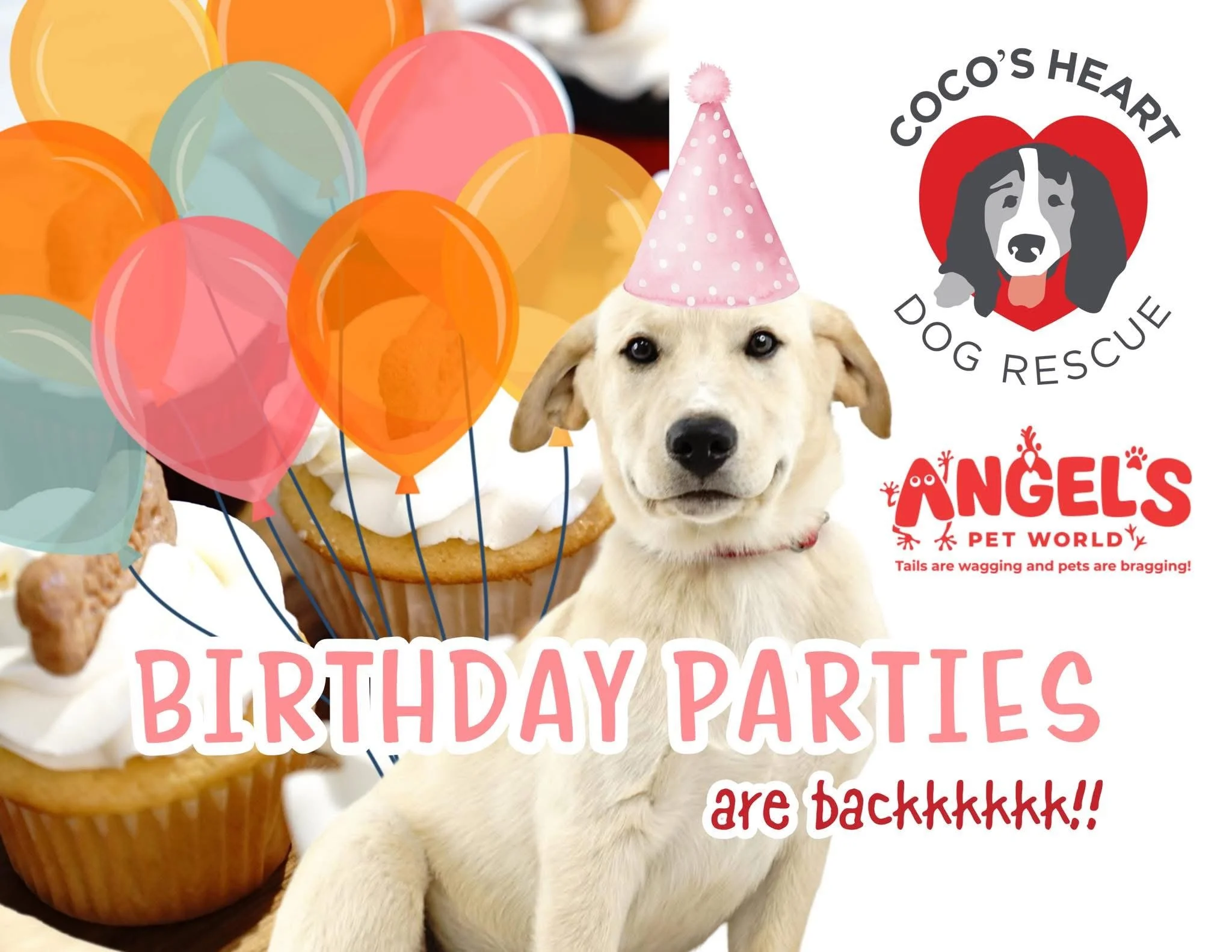 Coco's Heart Dog Rescue in Somerset, WI (6)