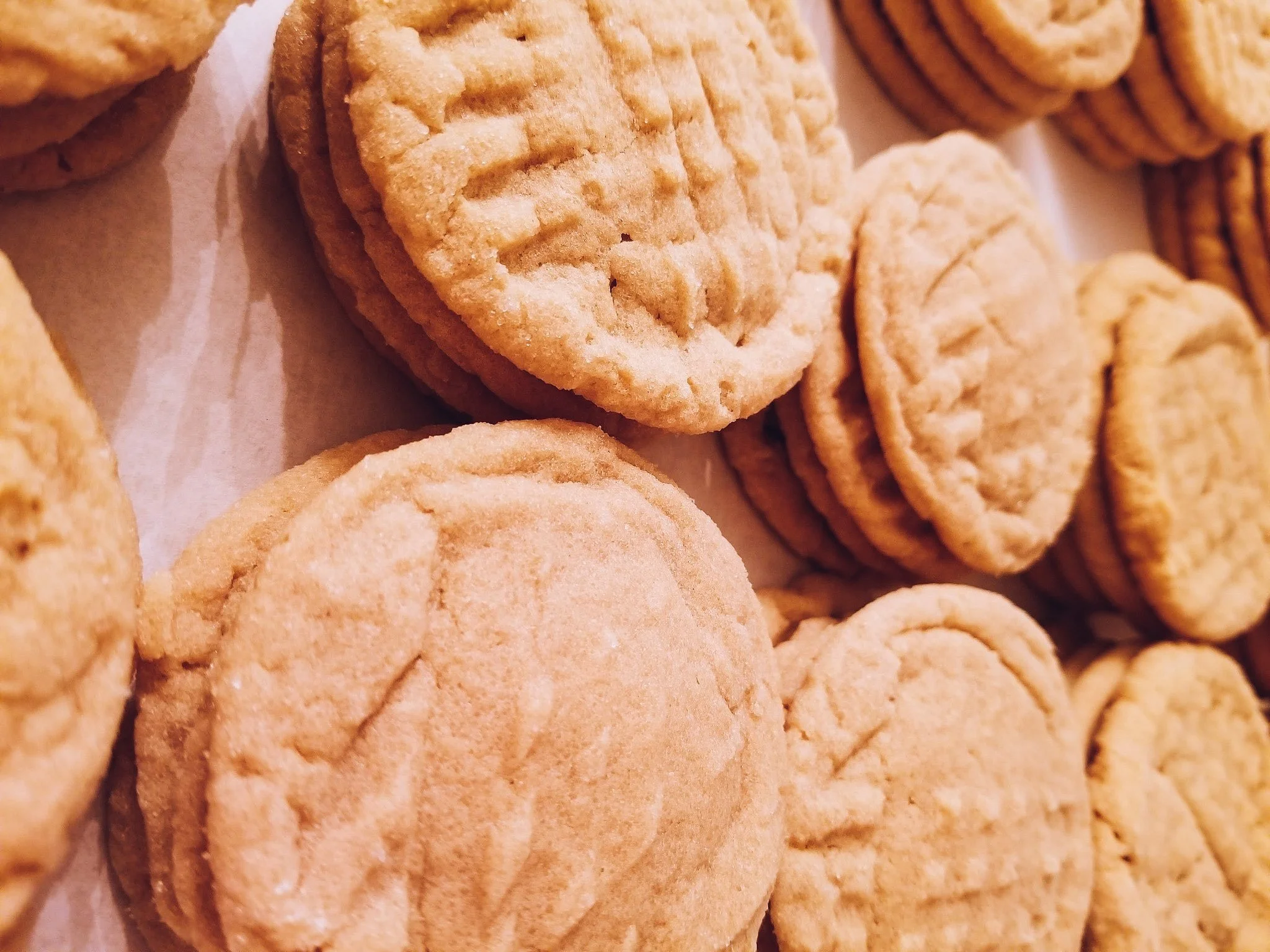 TLC's Half Baked Goods, LLC in Leesport, PA (2)
