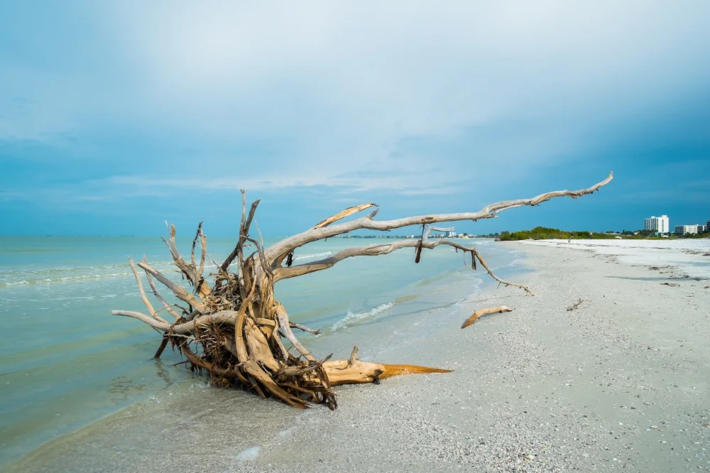 Morris Law Offices LLC in Bonita Springs, FL (2)