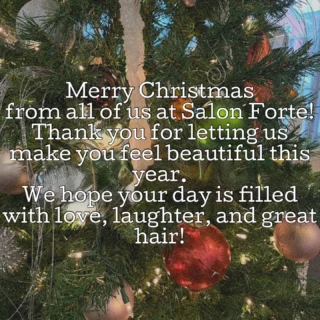 Salon Forte in Shelby Township, MI