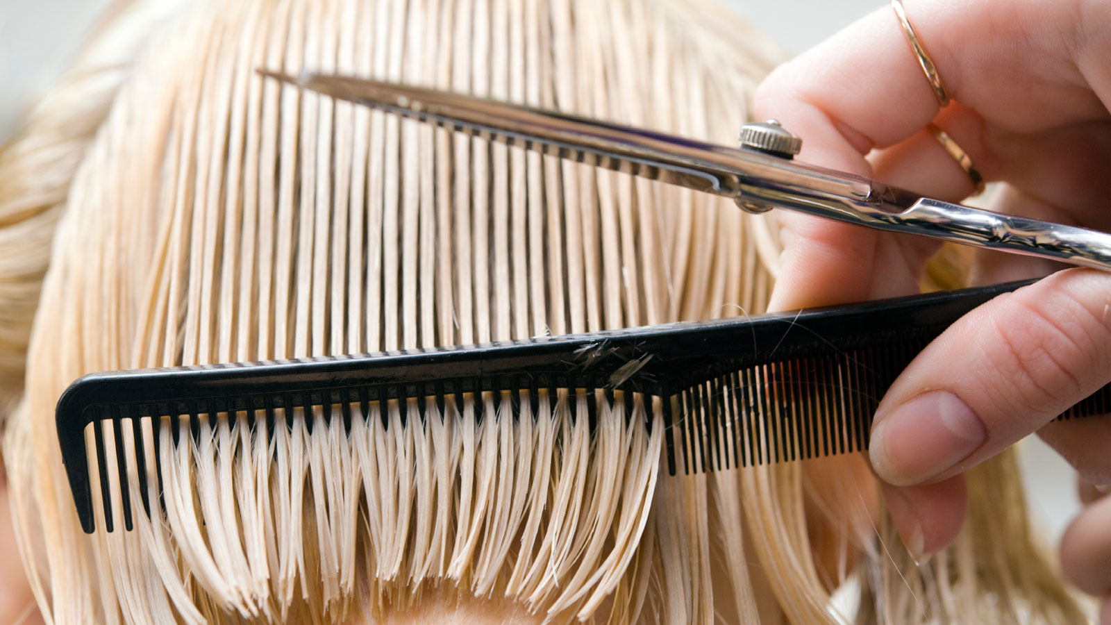 Stocks & Blondes Salon in Mountain View, CA