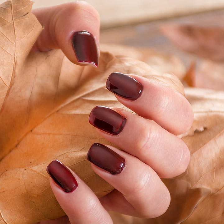 TJ Nails & Spa Bradenton in Bradenton, FL (6)
