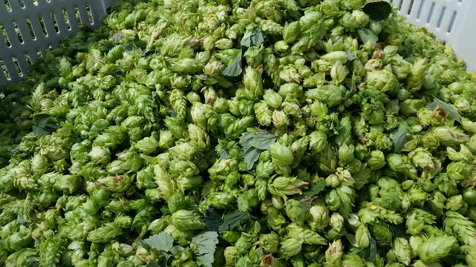 Thirsty Farmer Brew Works in Biglerville, PA