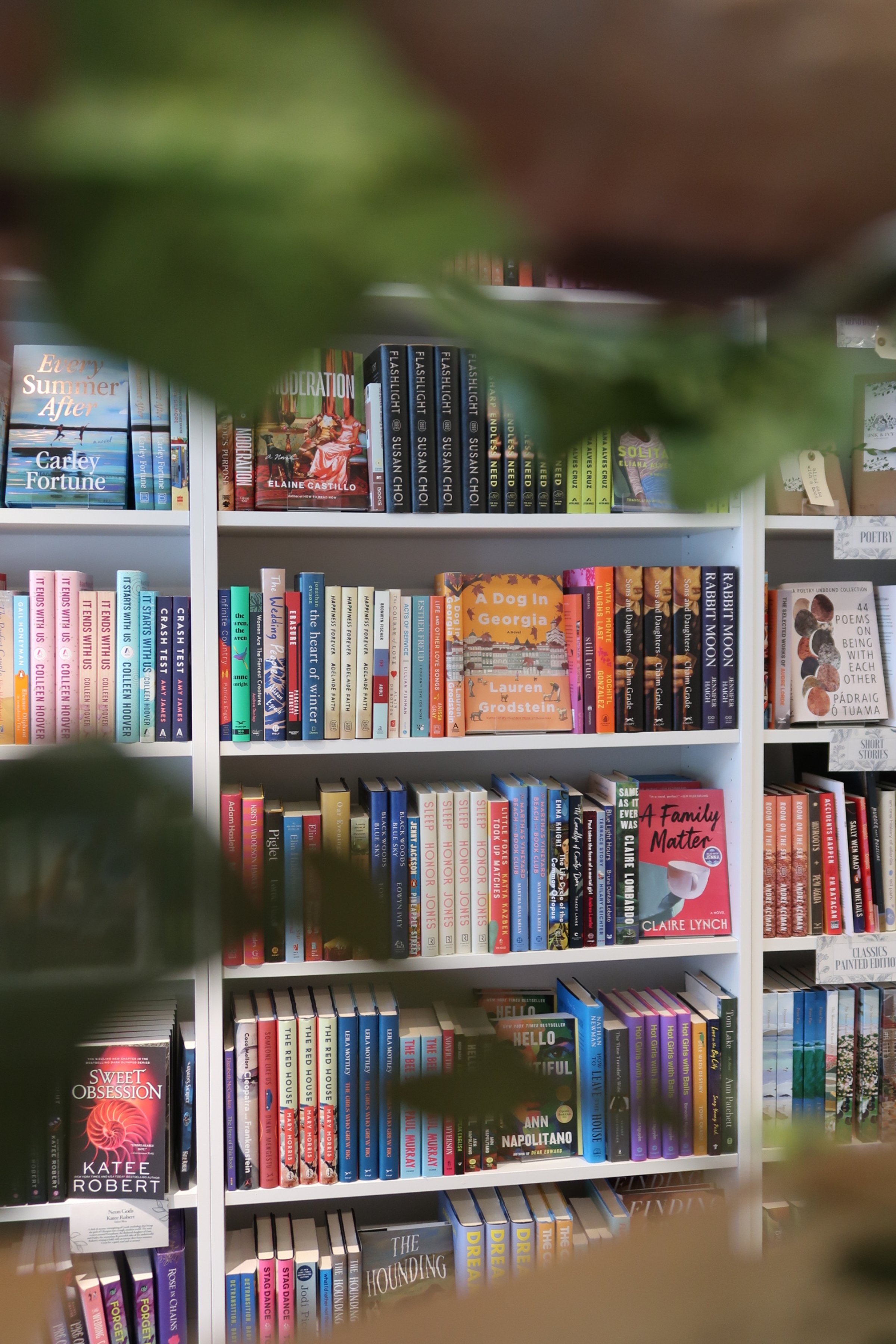Ink & Ivy Book Boutique in Madison, WI (4)