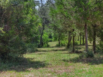 Tri County Realty, LLC - Double G Realty Group in Columbus, TX (5)