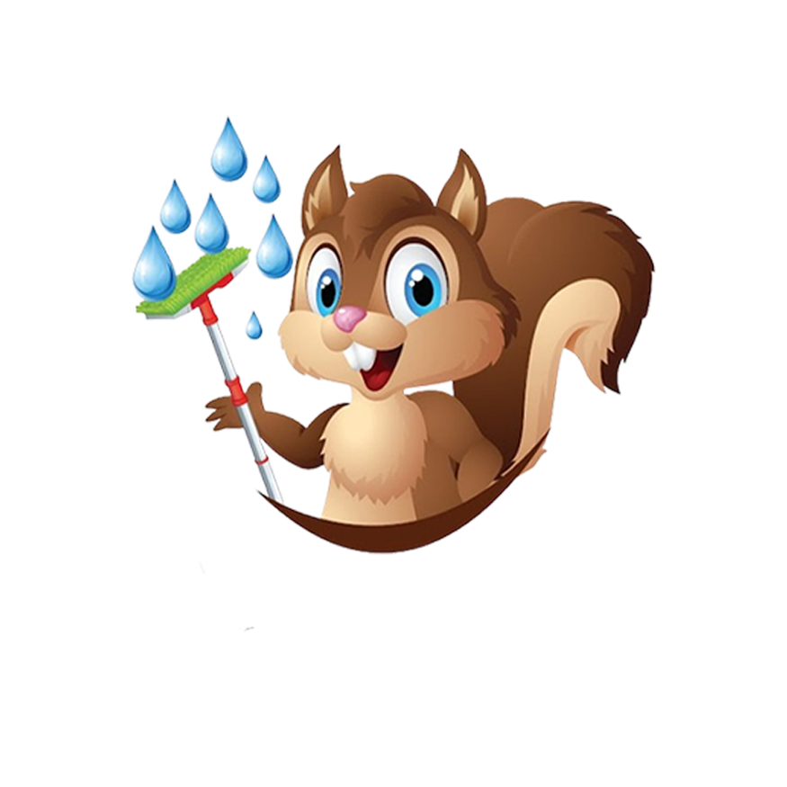 Alpha Express Truck Wash in Blacksburg, SC (2)