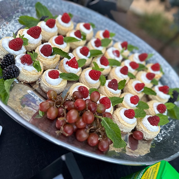 Tony Caters in San Jose, CA (6)