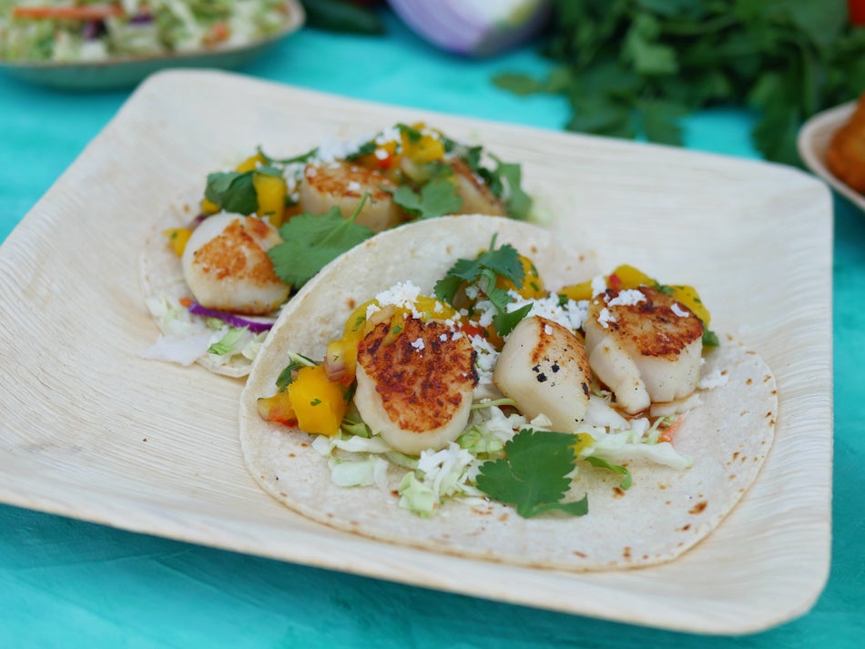 St Pete Taco Lady in St. Petersburg, FL