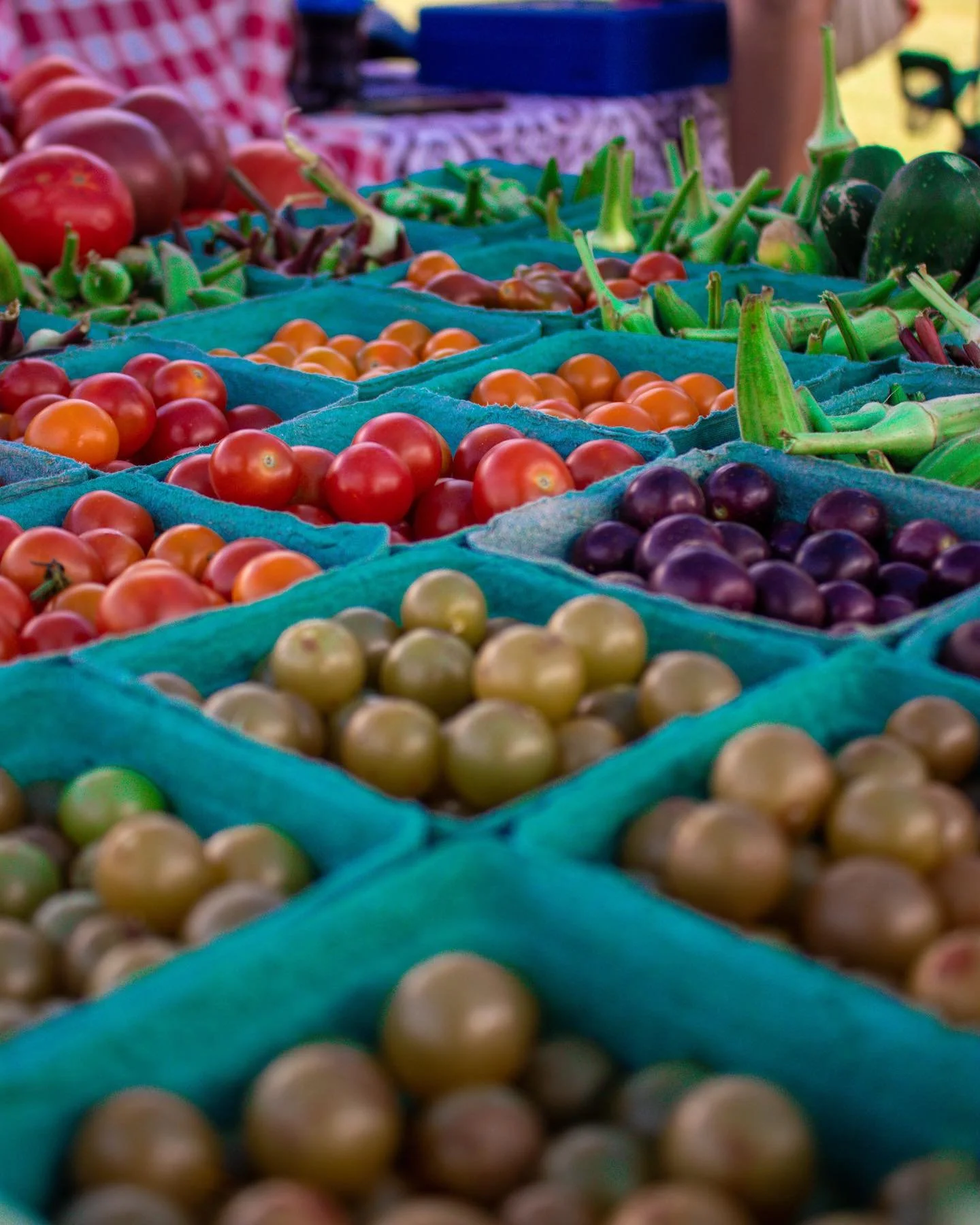 Blythewood Farmers Market in Blythewood, SC (5)