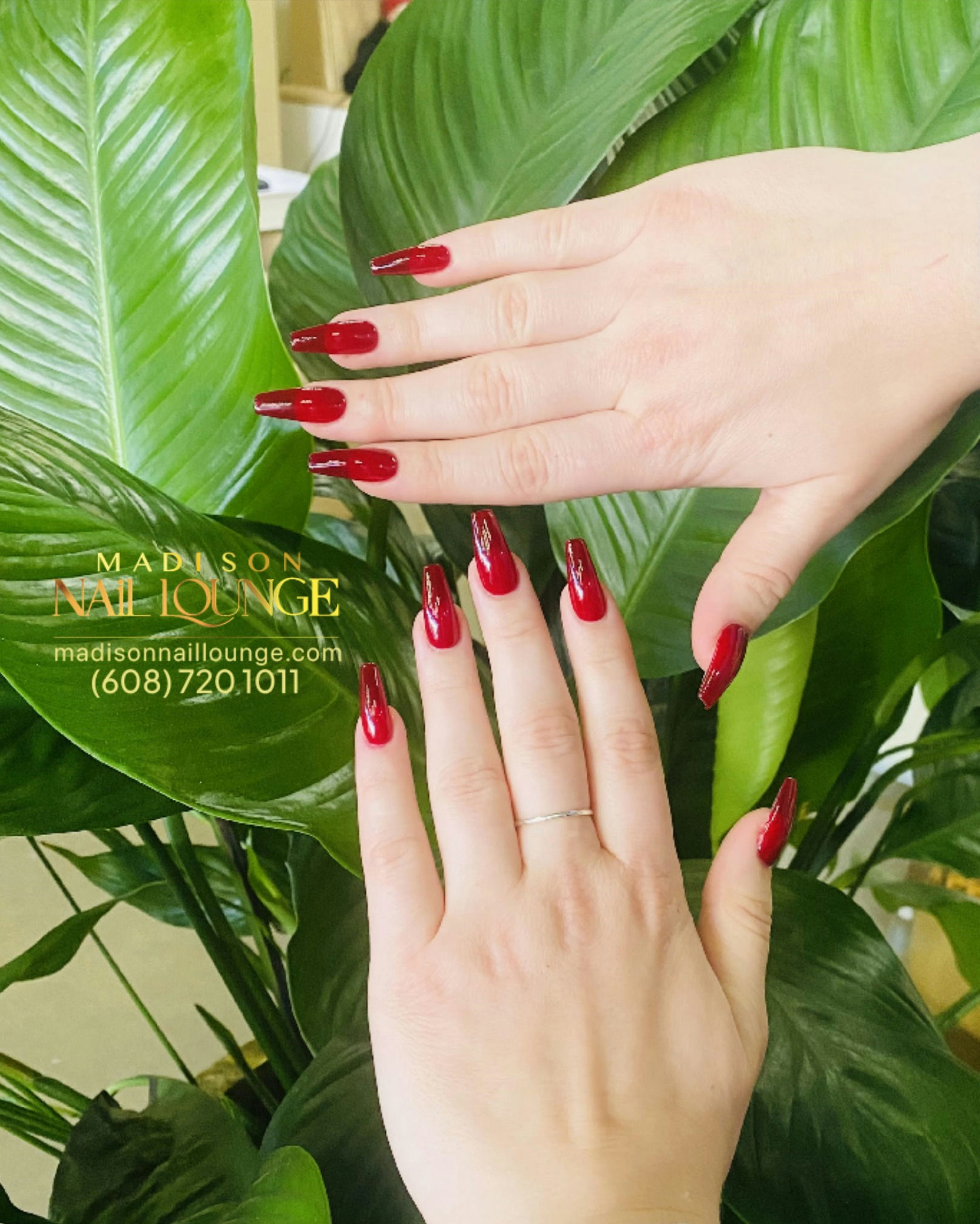 Madison Nail Lounge in Madison, WI (6)