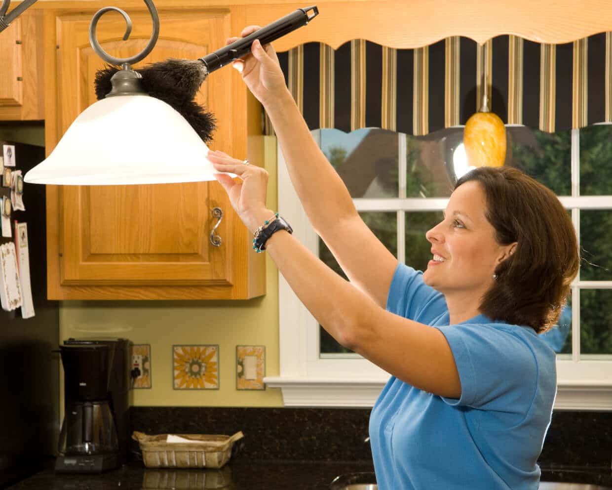 Cleaning Genie in Sylvania, OH (5)