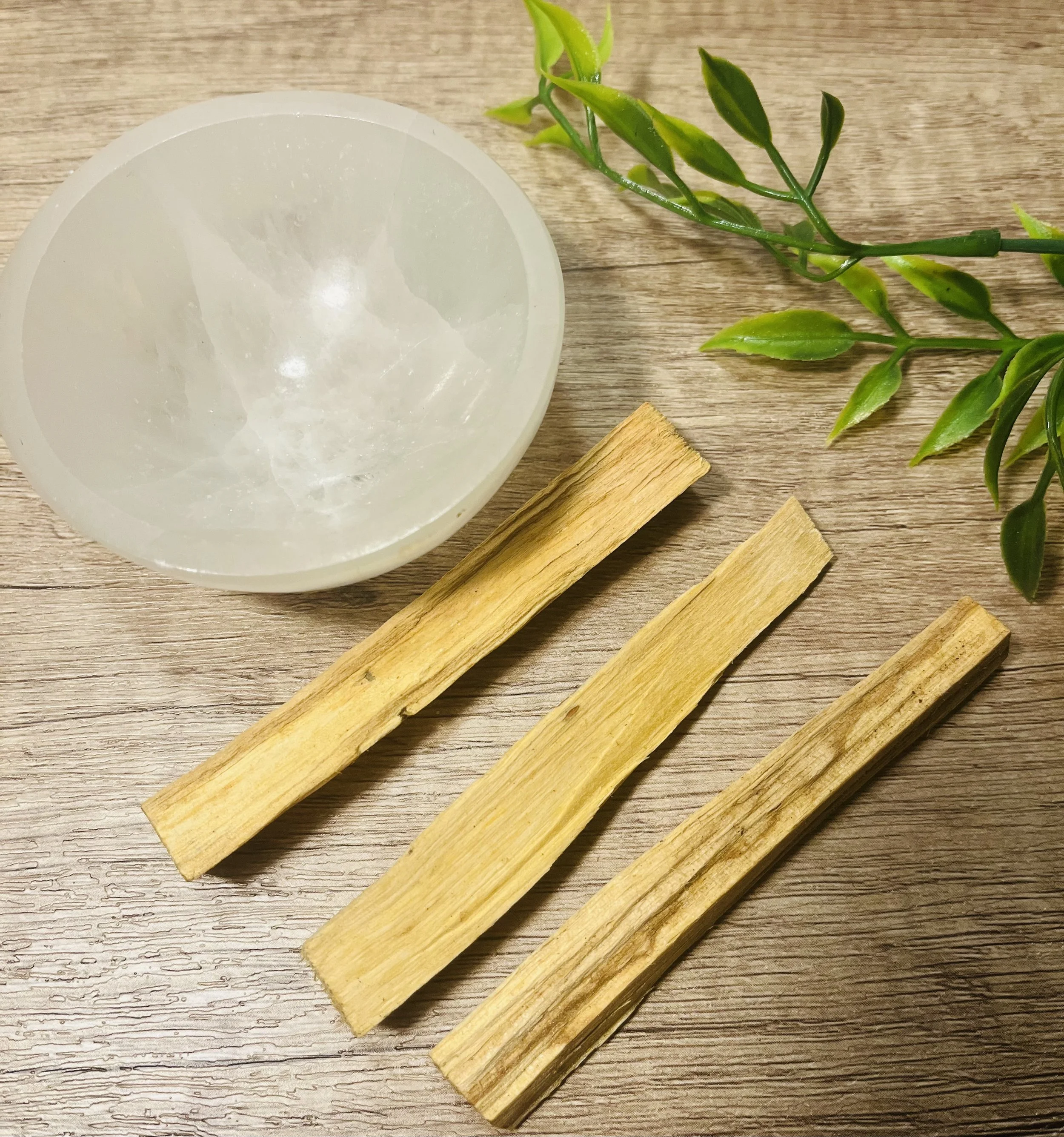 Earthly Temptation Wellness in Fitchburg, WI (6)