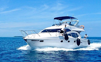 INCH X INCH CLEAR BRA PPF TINT COATINGS in Sarasota, FL (4)