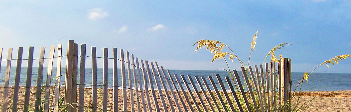 Gray Snead Realtor, Edisto Real Estate Company in Edisto Island, SC