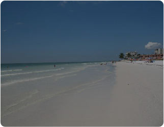 Realty by Dale Thomas in North Port, FL (2)