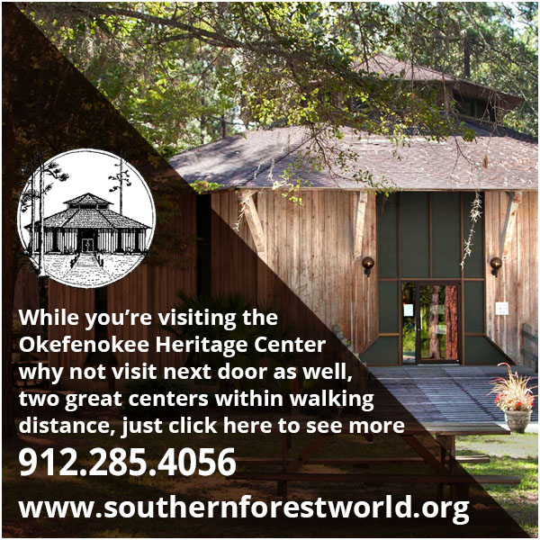Okefenokee Heritage Center in Waycross, GA (2)