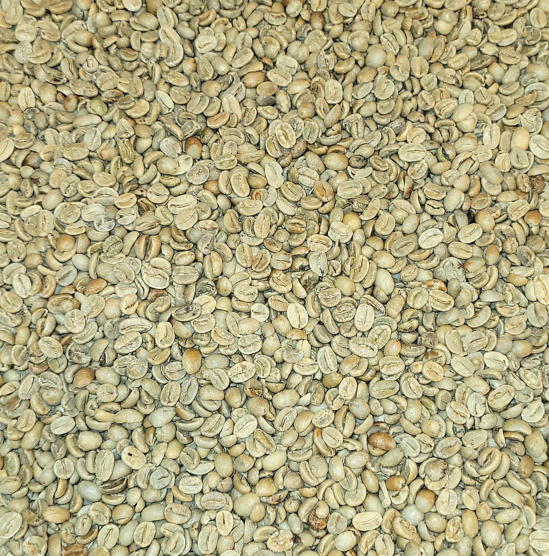 Reimer Coffee Company in Macclenny, FL (4)